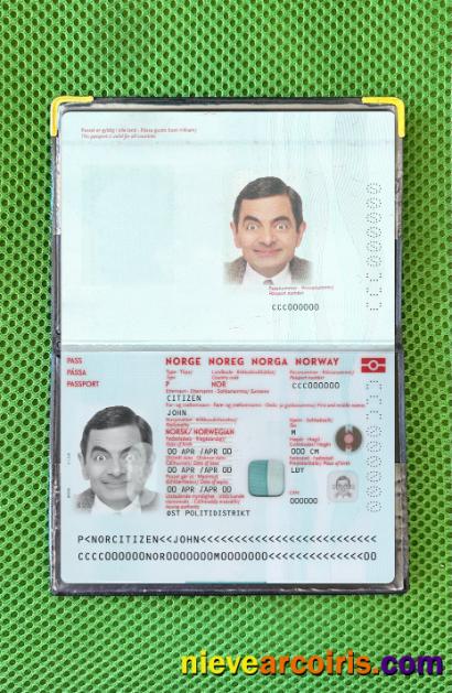 Norway Passport New 2021 Present Photolook Preview