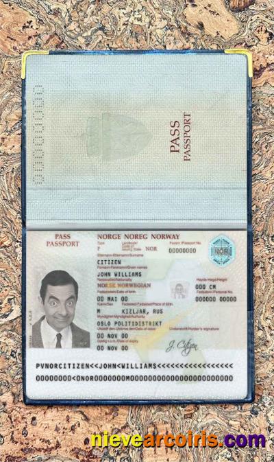 Norway Passport Photo Look Sample