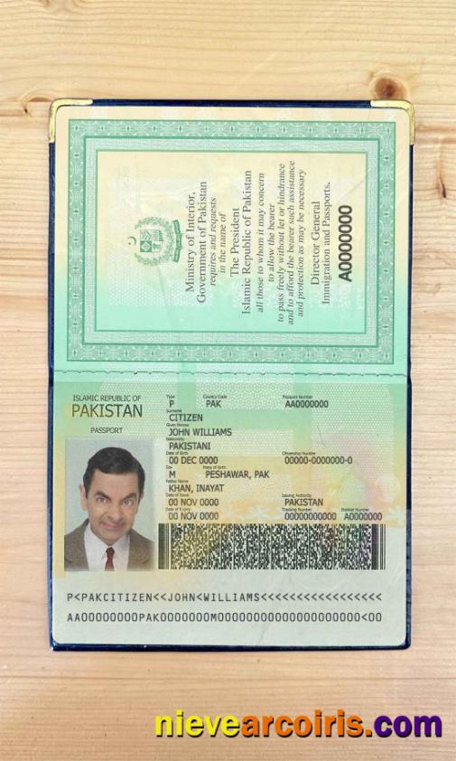Pakistan Passport Photo Look Sample