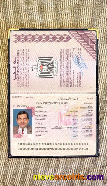 Palestine Passport Photo Look Sample