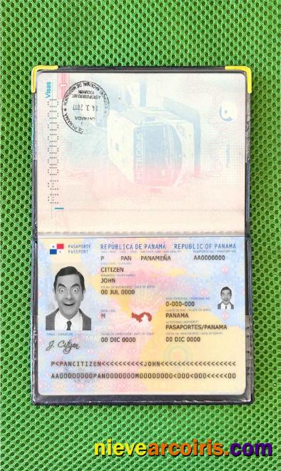 Panama Passport Photo Look Photolook