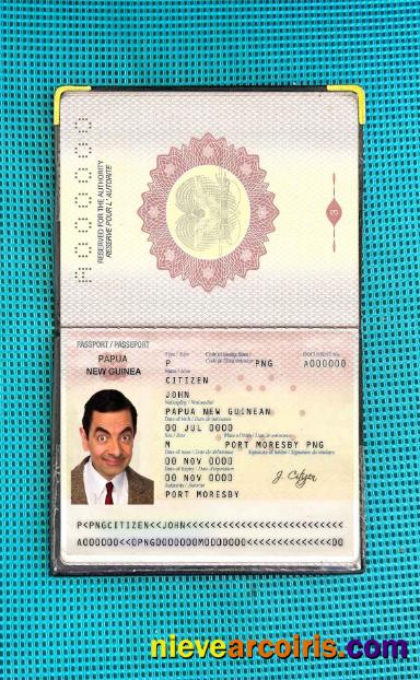 Papua New Guinea Passport Photo Look Sample