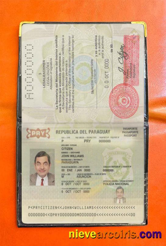 Paraguay Passport Photo Look Template