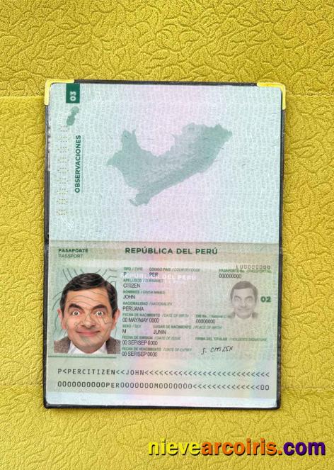 Peru Pass Photo Look Sample