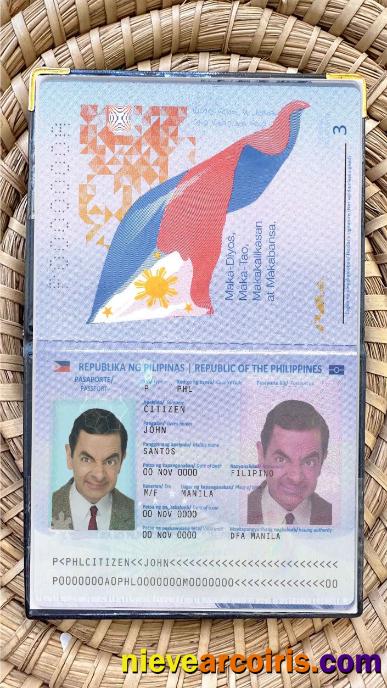 Philippines Passport Photo Look Template