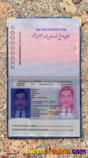 Philippines Passport Version 2 Photo Look Preview