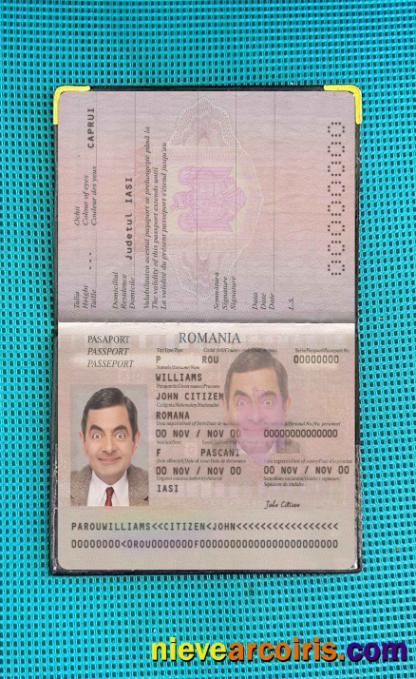 Romania Pass 2013 Present Photo Look Template
