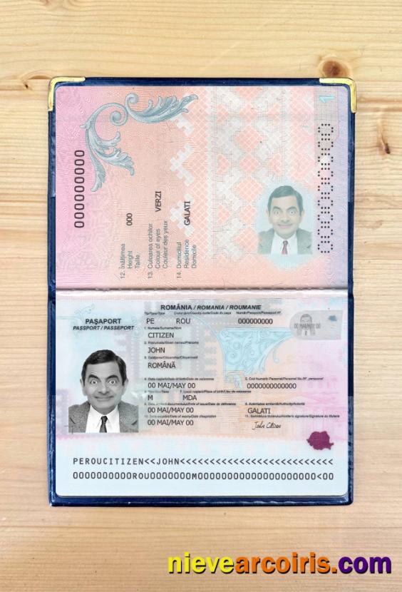 Romania Passport 2021 Present Photolook Sample
