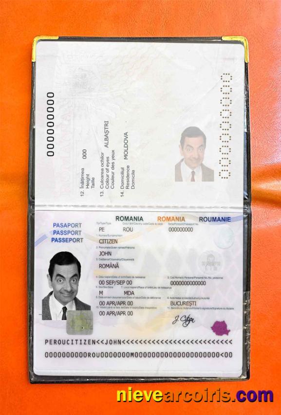 Romania Passport Photo Look Preview