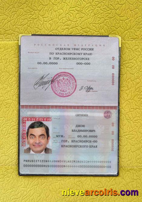 Russia Standard Passport Photo Look Template