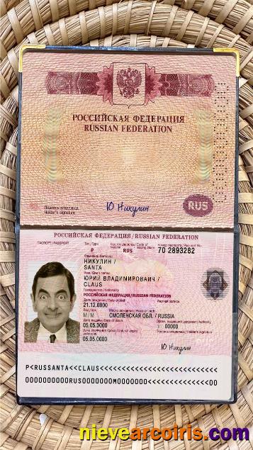 Russia Travel Passport Photo Look Preview
