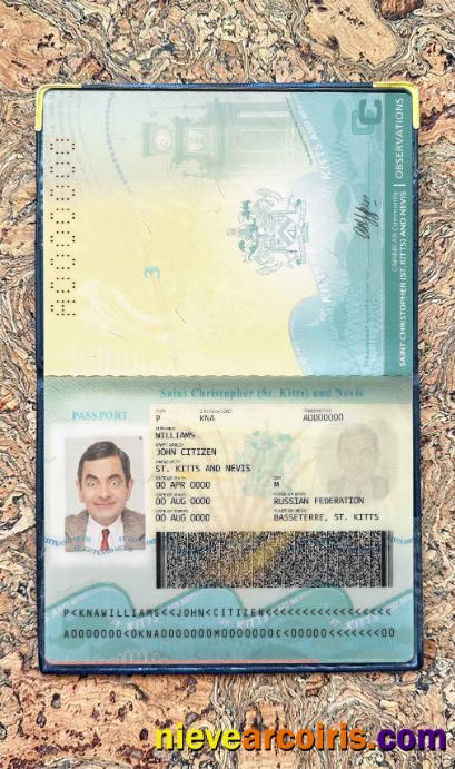 Saint Kitts And Nevis Passport Photo Look Sample