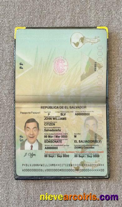 Salvador Passport Photo Look Template