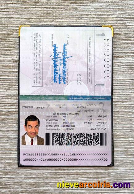 Saudi Arabia Passport Photo Look Photolook