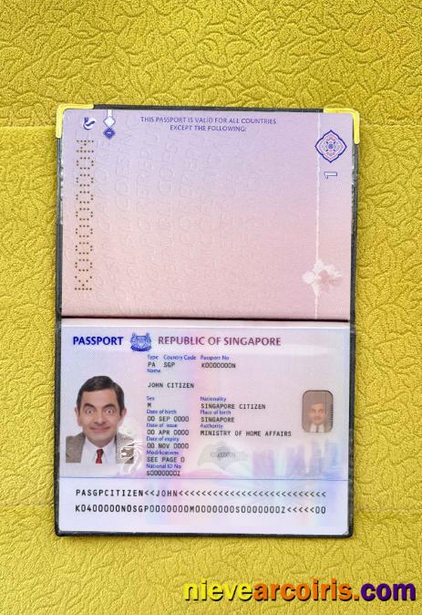 Singapore New Passport (2017+) Photo Look Template