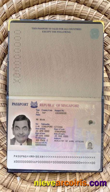 Singapore Pass (2006 2017) Photo Look Template