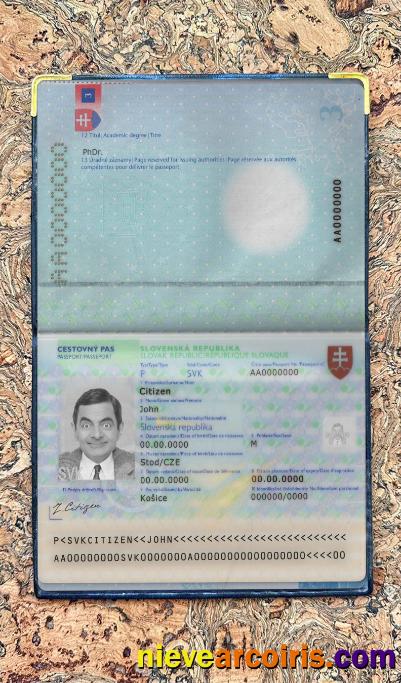 Slovakia Pass Photo Look Sample