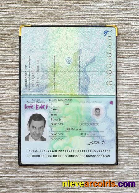 Slovenia Passport Photo Look Photolook