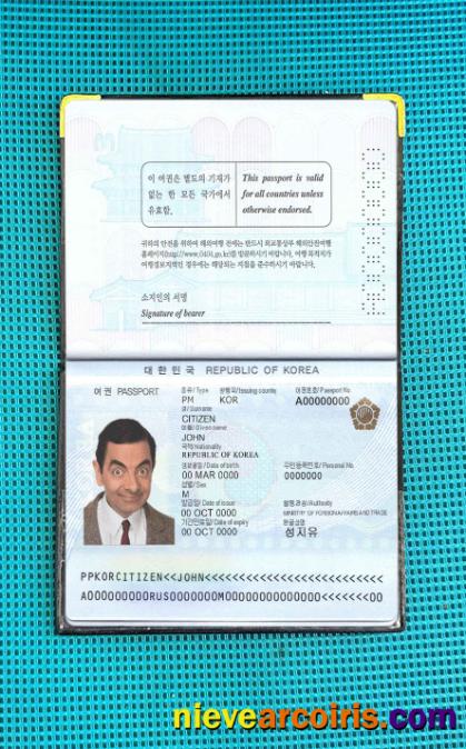 South Korea Passport Photo Look Template