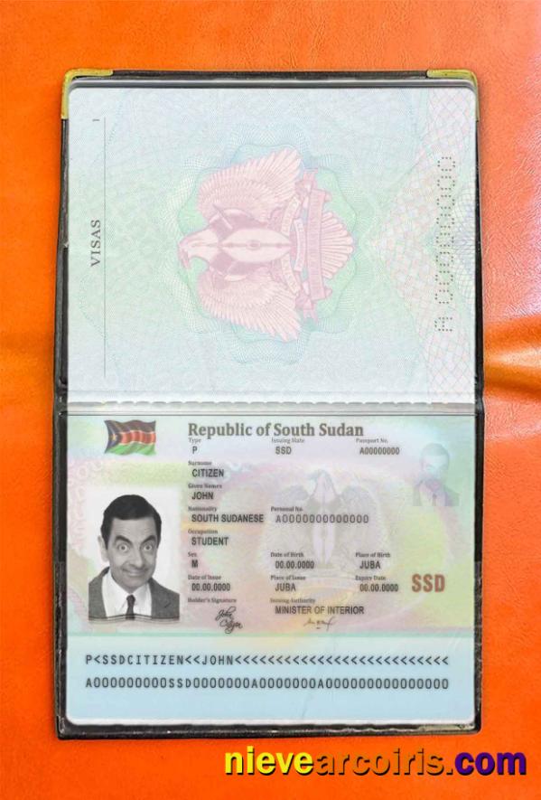 South Sudan Passport Photo Look Preview