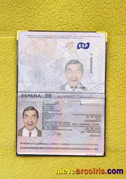 Spain Passport From 2015 Photo Look Preview