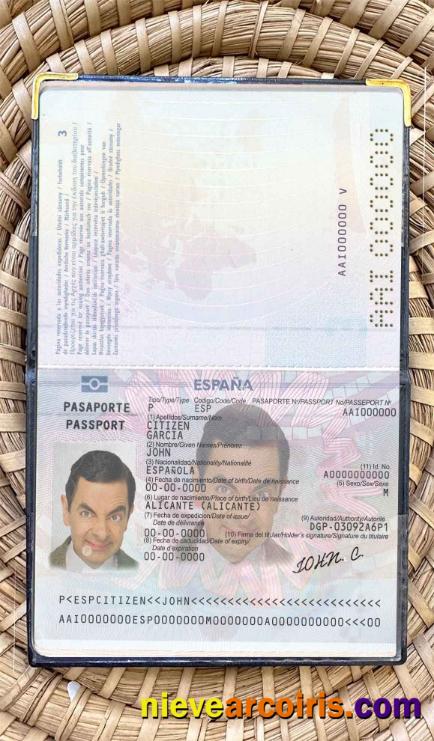 Spain Till 2015 Passport Photo Look Template