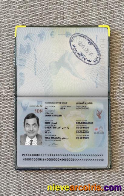 Sudan Pass Photo Look Template