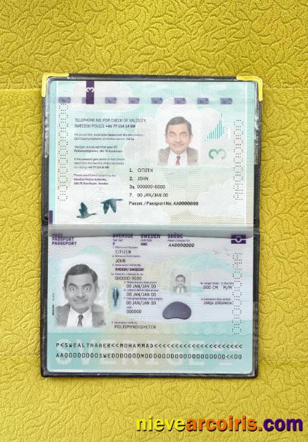 Sweden Passport New 2022 Present Photolook Sample