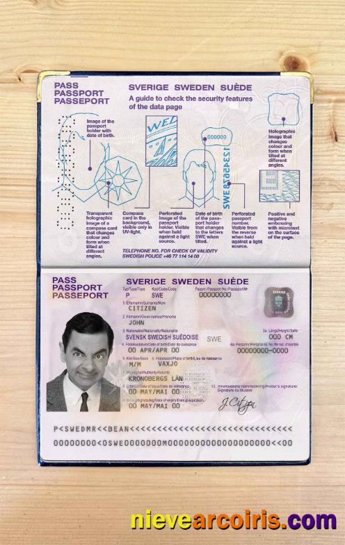 Sweden Passport Photo Look Photolook