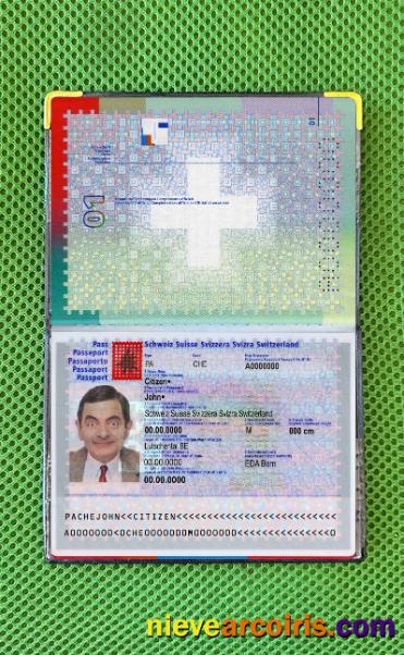 Switzerland Passport Photo Look Preview