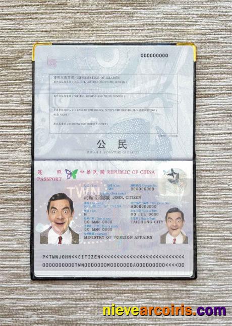 Taiwan Passport Photo Look Template