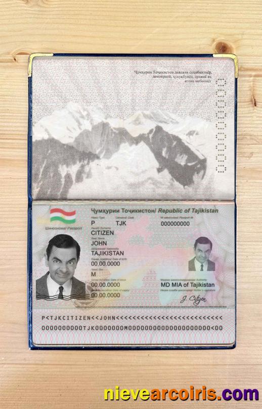 Tajikistan Passport Photo Look Template