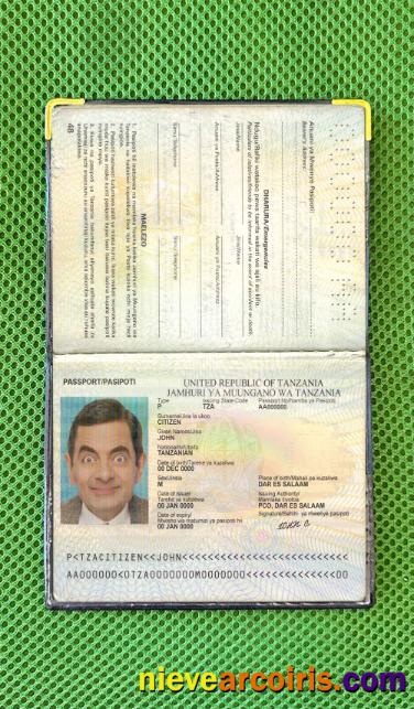Tanzania Passport Photo Look Preview