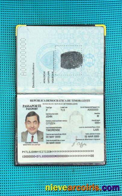 Timor Leste Passport Photo Look Photolook