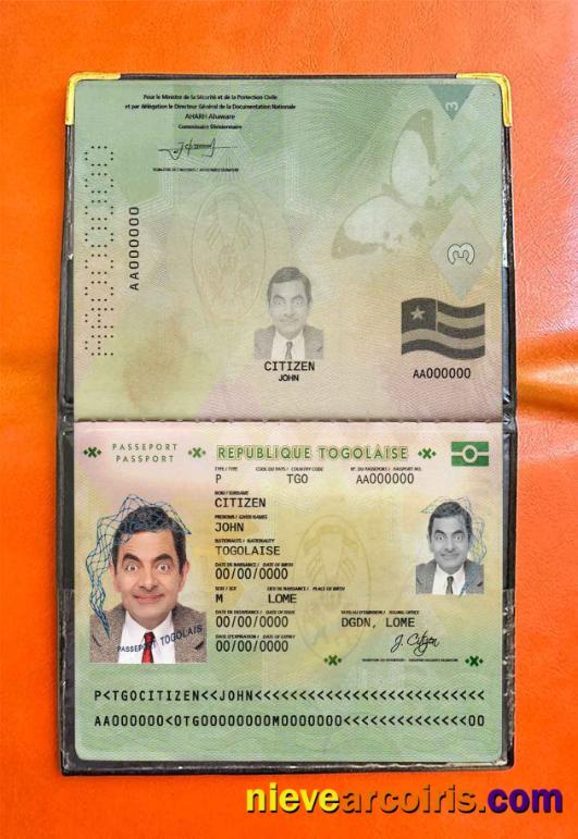 Togo Passport Photo Look Sample
