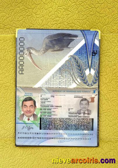 Trinidad And Tobago Passport Photo Look Preview