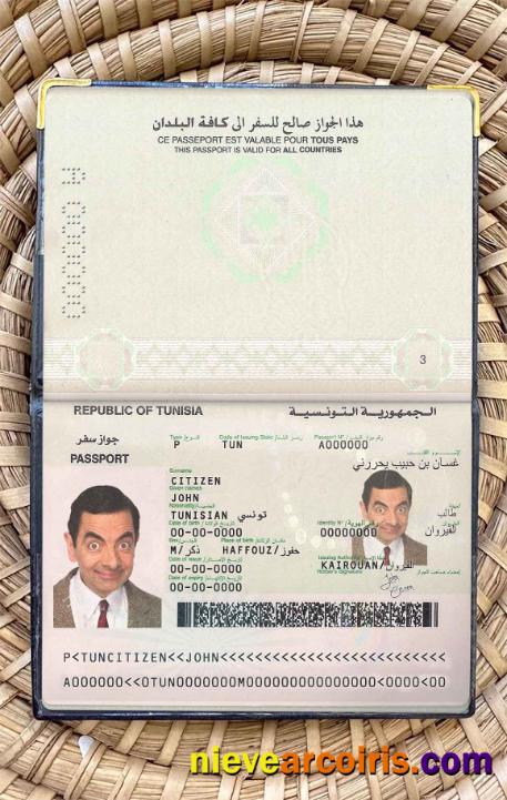 Tunisia Passport Photo Look Preview