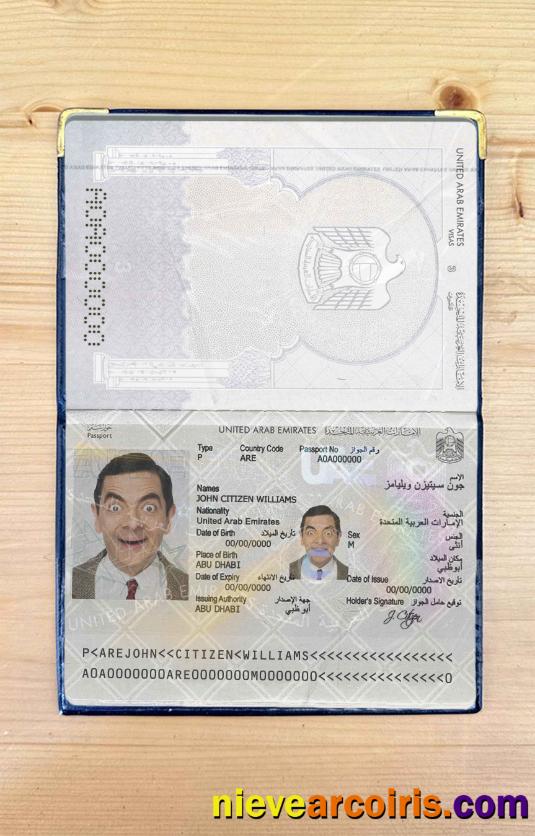 UAE Passport Photo Look Preview