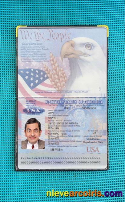 USA Passport 2007 2022 Photo Look Sample