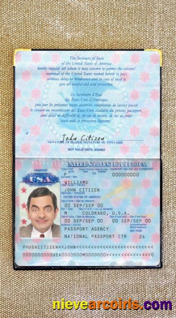 USA Passport Pre 2007 Photo Look Photolook