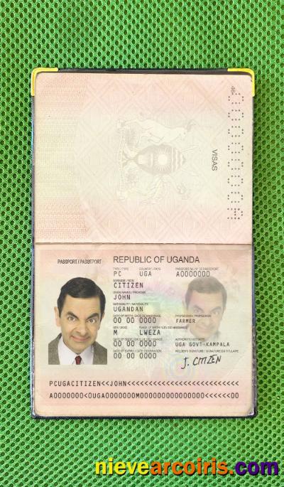Uganda Passport Photo Look Preview