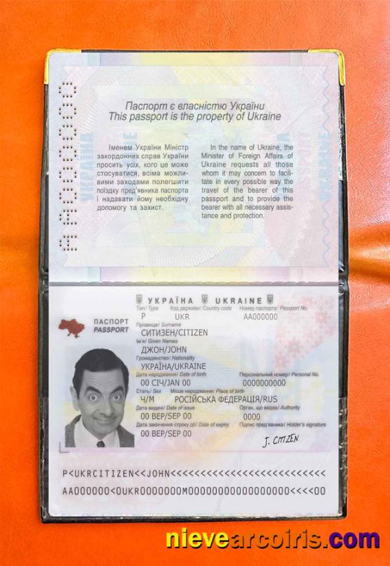 Ukraine Passport Photo Look Template