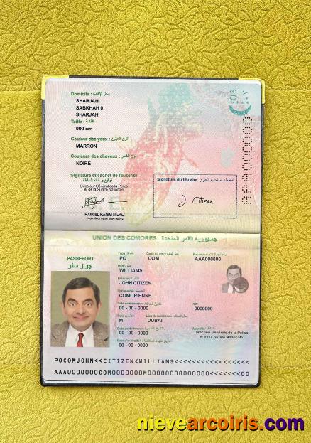 Union Des Comores Passport Photo Look Photolook