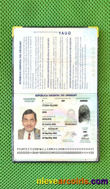 Uruguay Passport Photo Look Template