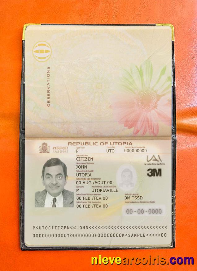 Utopia Pass Photo Look Template