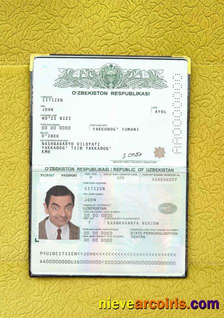 Uzbekistan Pass Photo Look Photolook