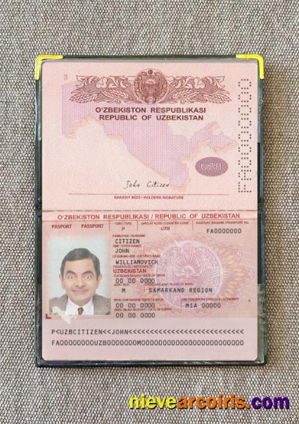 Uzbekistan Passport 2022 Present Photolook Photolook