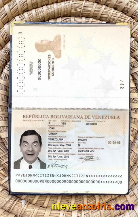 Venezuela Passport Photo Look Preview