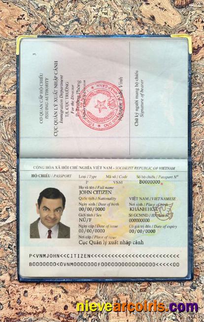 Vietnam Passport Photo Look Template