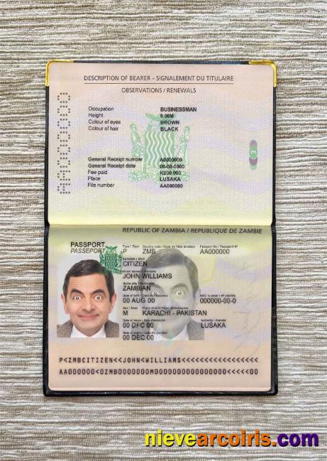 Zambia Pass Photo Look Sample